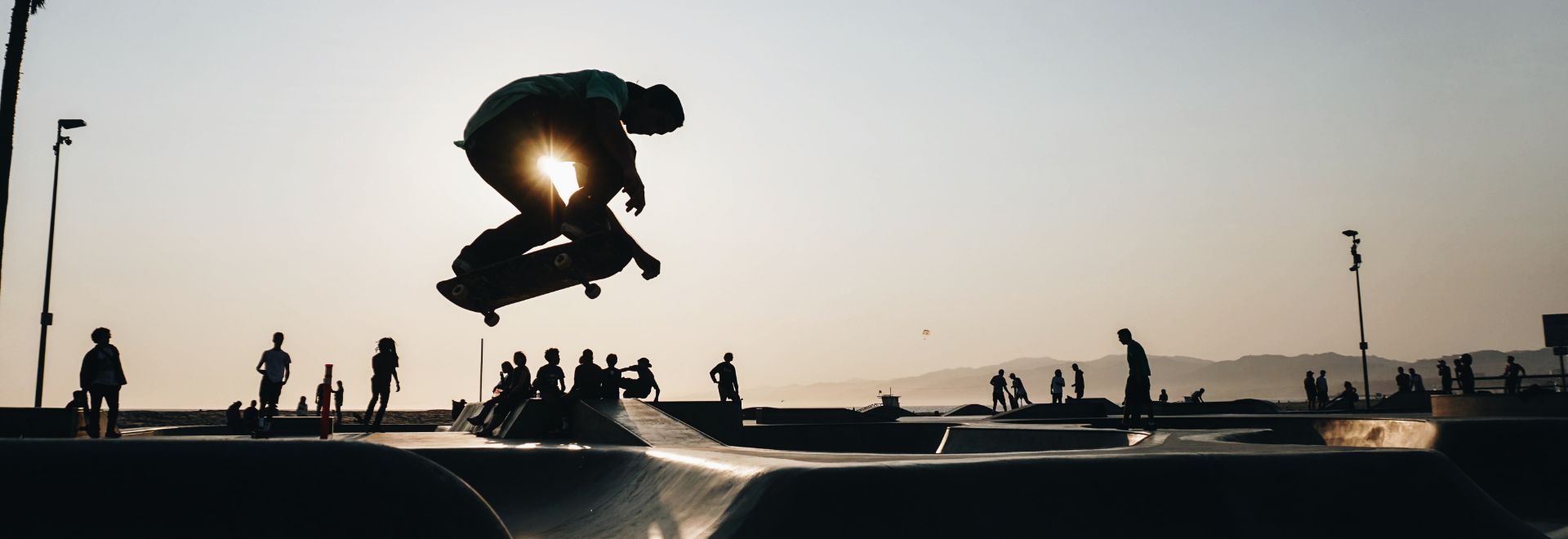 skateparksdefrance gip skater banner