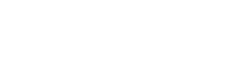 skateparksdefrance gip logo blanc recadre